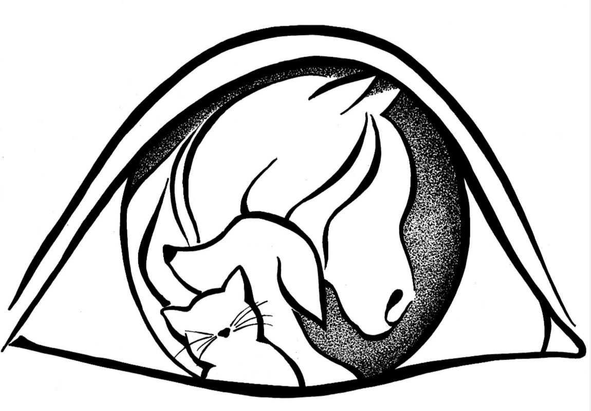 martinocanevari.com favicon